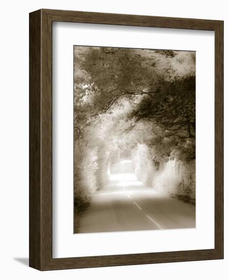 Road in Autumn-David Ridley-Framed Photographic Print