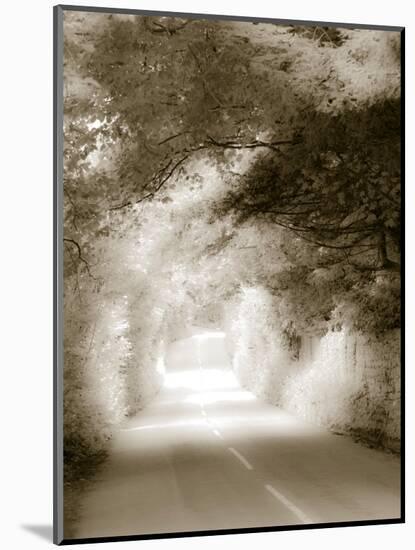 Road in Autumn-David Ridley-Mounted Photographic Print