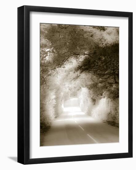 Road in Autumn-David Ridley-Framed Photographic Print