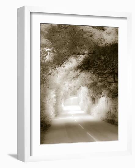 Road in Autumn-David Ridley-Framed Photographic Print