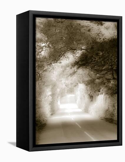 Road in Autumn-David Ridley-Framed Stretched Canvas