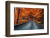 Road in Beautiful Red Forest at Sunrise in Autumn in Plitvice Lakes, Croatia. Beautiful Mountain Ro-den-belitsky-Framed Photographic Print