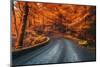 Road in Beautiful Red Forest at Sunrise in Autumn in Plitvice Lakes, Croatia. Beautiful Mountain Ro-den-belitsky-Mounted Photographic Print