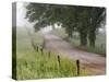 Road in Cades Cove, Great Smoky Mountains National Park, Tennessee, USA-null-Stretched Canvas