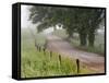 Road in Cades Cove, Great Smoky Mountains National Park, Tennessee, USA-null-Framed Stretched Canvas