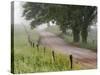 Road in Cades Cove, Great Smoky Mountains National Park, Tennessee, USA-null-Stretched Canvas