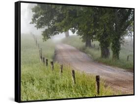 Road in Cades Cove, Great Smoky Mountains National Park, Tennessee, USA-null-Framed Stretched Canvas