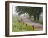 Road in Cades Cove, Great Smoky Mountains National Park, Tennessee, USA-null-Framed Premium Photographic Print