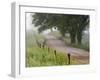 Road in Cades Cove, Great Smoky Mountains National Park, Tennessee, USA-null-Framed Premium Photographic Print