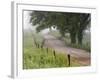 Road in Cades Cove, Great Smoky Mountains National Park, Tennessee, USA-null-Framed Photographic Print