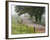 Road in Cades Cove, Great Smoky Mountains National Park, Tennessee, USA-null-Framed Photographic Print