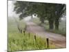 Road in Cades Cove, Great Smoky Mountains National Park, Tennessee, USA-null-Mounted Photographic Print