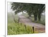 Road in Cades Cove, Great Smoky Mountains National Park, Tennessee, USA-null-Framed Photographic Print