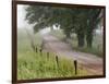 Road in Cades Cove, Great Smoky Mountains National Park, Tennessee, USA-null-Framed Photographic Print