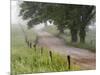 Road in Cades Cove, Great Smoky Mountains National Park, Tennessee, USA-null-Mounted Photographic Print