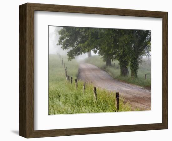 Road in Cades Cove, Great Smoky Mountains National Park, Tennessee, USA-null-Framed Photographic Print