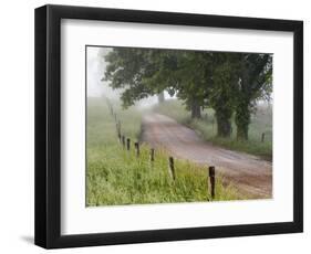 Road in Cades Cove, Great Smoky Mountains National Park, Tennessee, USA-null-Framed Photographic Print