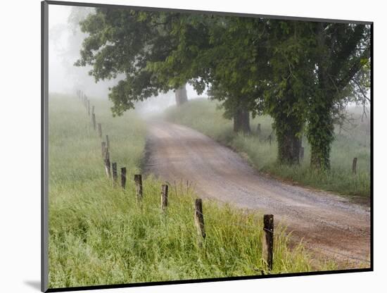 Road in Cades Cove, Great Smoky Mountains National Park, Tennessee, USA-null-Mounted Photographic Print
