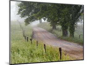 Road in Cades Cove, Great Smoky Mountains National Park, Tennessee, USA-null-Mounted Photographic Print