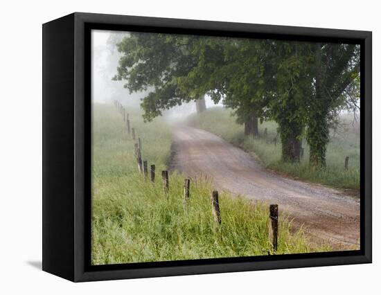Road in Cades Cove, Great Smoky Mountains National Park, Tennessee, USA-null-Framed Stretched Canvas