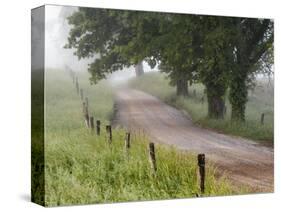 Road in Cades Cove, Great Smoky Mountains National Park, Tennessee, USA-null-Stretched Canvas