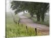 Road in Cades Cove, Great Smoky Mountains National Park, Tennessee, USA-null-Stretched Canvas