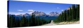 Road in Canadian Rockies, Alberta, Canada-null-Stretched Canvas