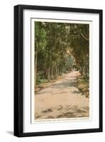 Road in Del Mar, California-null-Framed Art Print