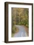 Road in fall color Giant City State Park, Illinois-Richard & Susan Day-Framed Photographic Print