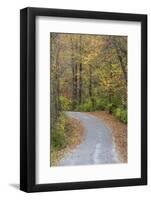 Road in fall color Giant City State Park, Illinois-Richard & Susan Day-Framed Photographic Print