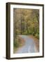 Road in fall color Giant City State Park, Illinois-Richard & Susan Day-Framed Photographic Print