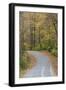 Road in fall color Giant City State Park, Illinois-Richard & Susan Day-Framed Photographic Print