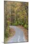 Road in fall color Giant City State Park, Illinois-Richard & Susan Day-Mounted Photographic Print