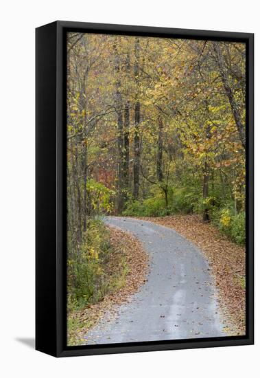 Road in fall color Giant City State Park, Illinois-Richard & Susan Day-Framed Stretched Canvas