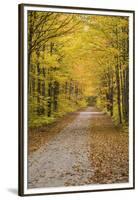 Road in Fall Color Schoolcraft County, Upper Peninsula, Michigan-Richard and Susan Day-Framed Premium Photographic Print