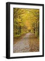 Road in Fall Color Schoolcraft County, Upper Peninsula, Michigan-Richard and Susan Day-Framed Premium Photographic Print