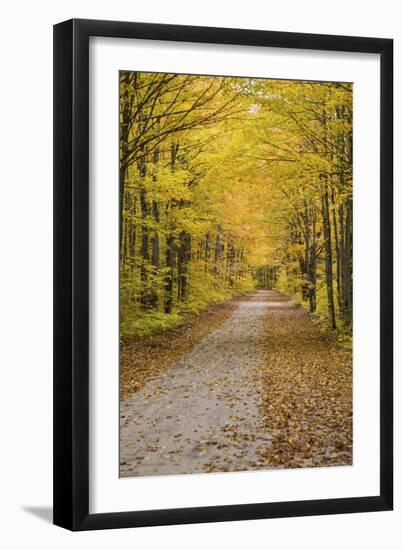 Road in Fall Color Schoolcraft County, Upper Peninsula, Michigan-Richard and Susan Day-Framed Premium Photographic Print