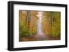 Road in Fall Color Schoolcraft County, Upper Peninsula, Michigan-Richard and Susan Day-Framed Photographic Print