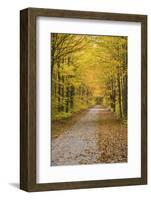 Road in Fall Color Schoolcraft County, Upper Peninsula, Michigan-Richard and Susan Day-Framed Photographic Print