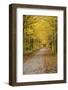 Road in Fall Color Schoolcraft County, Upper Peninsula, Michigan-Richard and Susan Day-Framed Photographic Print