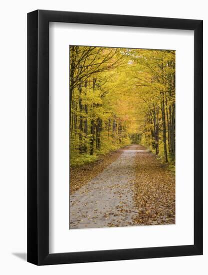 Road in Fall Color Schoolcraft County, Upper Peninsula, Michigan-Richard and Susan Day-Framed Photographic Print