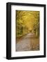 Road in Fall Color Schoolcraft County, Upper Peninsula, Michigan-Richard and Susan Day-Framed Photographic Print