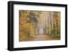 Road in Fall Color Schoolcraft County Upper Peninsula, Michigan-Richard and Susan Day-Framed Photographic Print