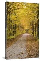 Road in Fall Color Schoolcraft County, Upper Peninsula, Michigan-Richard and Susan Day-Stretched Canvas