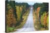 Road in Fall-Valoor-Stretched Canvas