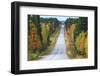 Road in Fall-Valoor-Framed Photographic Print