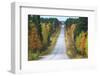 Road in Fall-Valoor-Framed Photographic Print