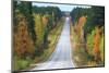 Road in Fall-Valoor-Mounted Photographic Print