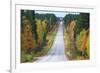 Road in Fall-Valoor-Framed Photographic Print