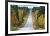 Road in Fall-Valoor-Framed Photographic Print